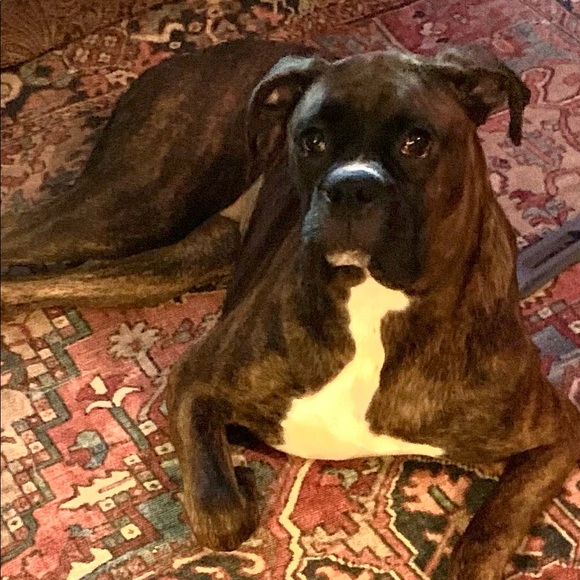 Meet your Posher, Debbie.Handmade jewelry - Picture 13 of 17